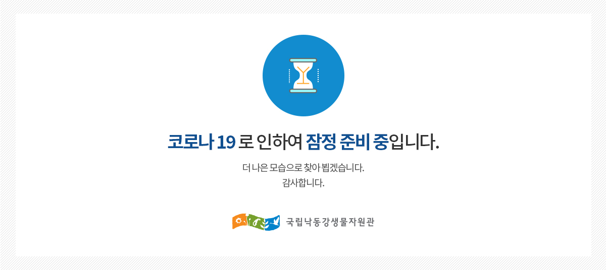 디자인 및 코딩8